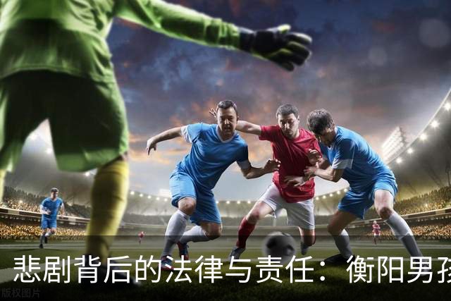 悲剧背后的法律与责任：衡阳男孩翻墙坠井事件